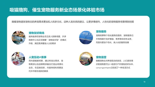 2022年中国宠物消费调研报告