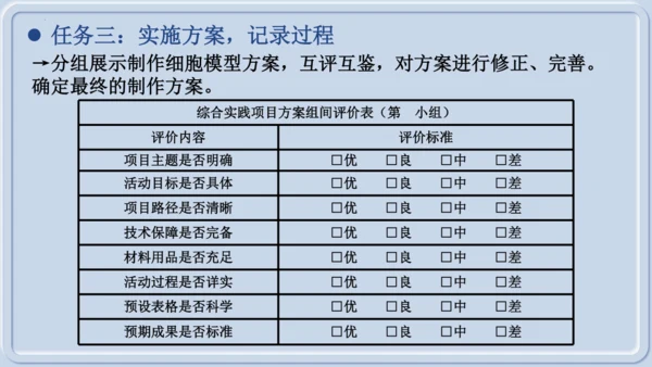 综合实践项目1制作细胞模型（课件）（人教版2024）-【跨学科实践】七年级生物上册跨学科实践备课包（