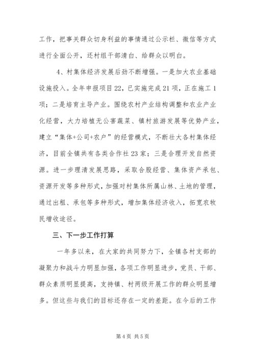 乡镇集中整顿推进情况报告.docx
