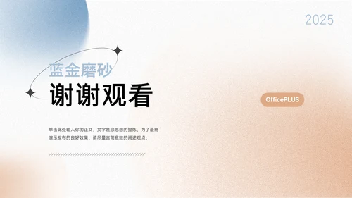 蓝金磨砂商业计划书PPT模板
