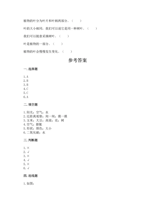 教科版科学一年级上册第一单元《植物》测试卷（夺冠）word版.docx