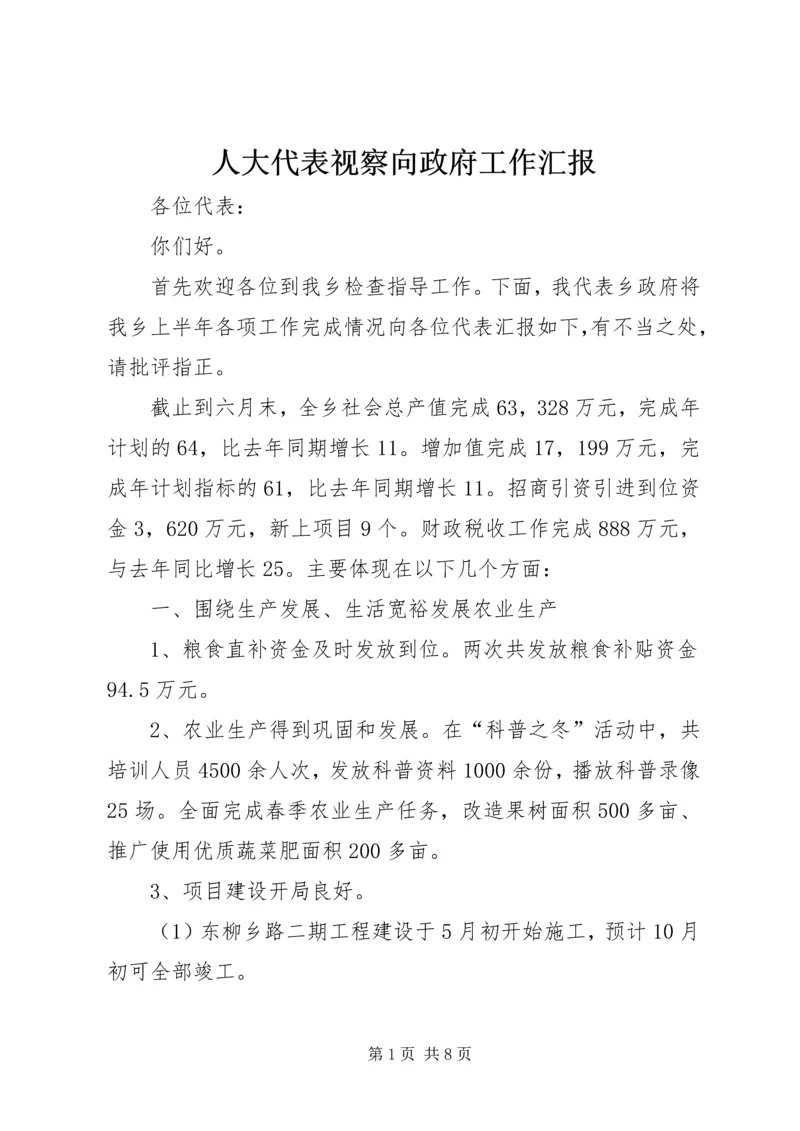 人大代表视察向政府工作汇报.docx