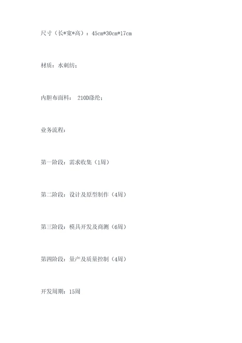 背包的项目计划书