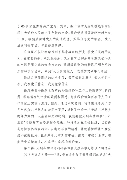 学习大别山精神心得体会.docx