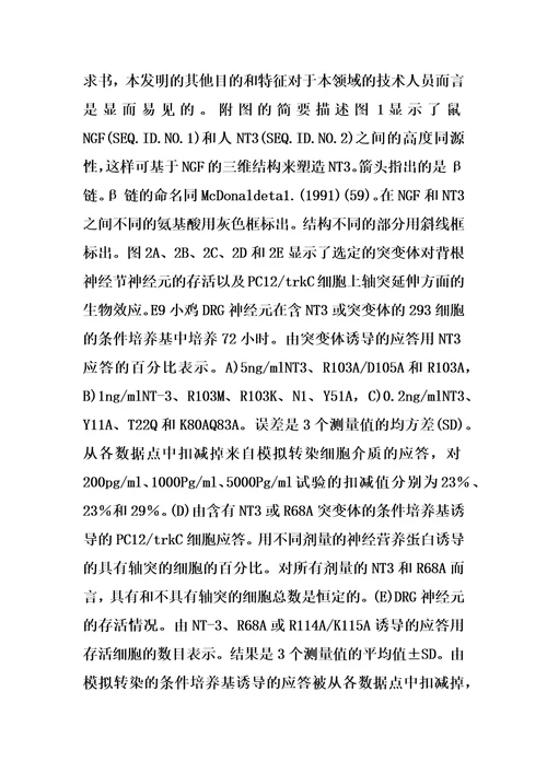 泛向神经营养因子的制作方法
