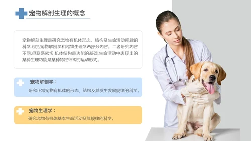 实拍风宠物解剖生理宠物解剖生理讲座PPT