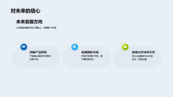 公司年度绩效回顾