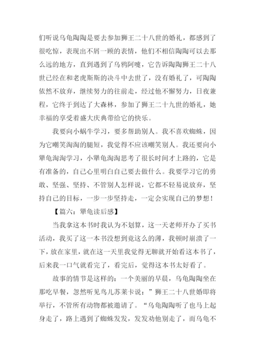 犟龟读后感400字.docx