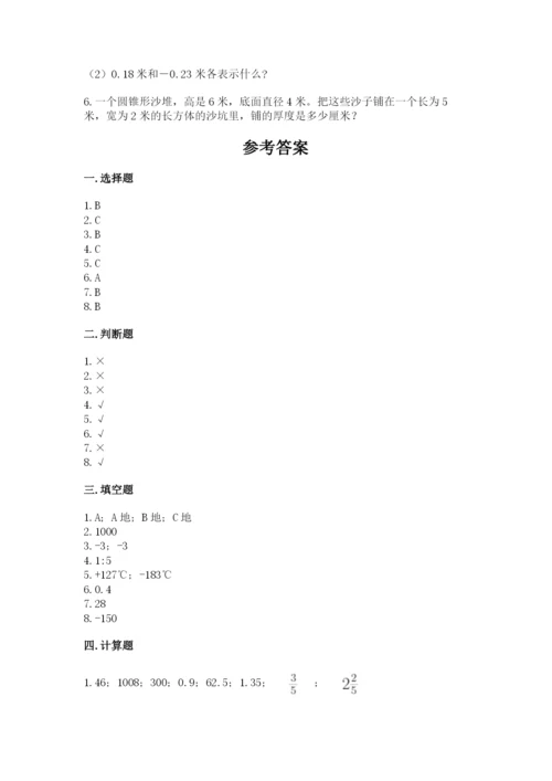 小升初数学期末测试卷精选.docx