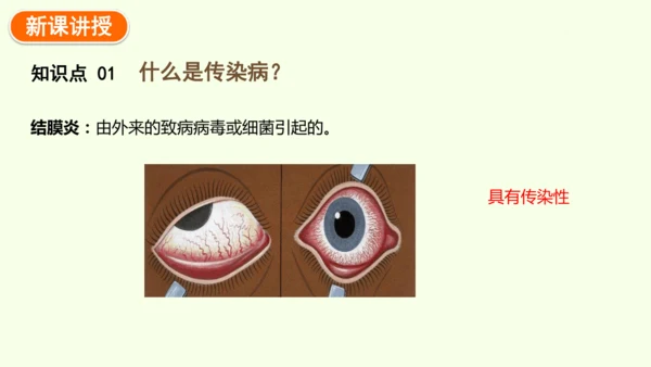 8.1.1传染病及其预防-八年级生物人教版下学期同步精品课件(共39张PPT)