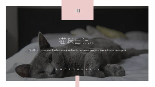 吸猫宠物猫咪日记通用PPT模板