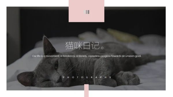 吸猫宠物猫咪日记通用PPT模板