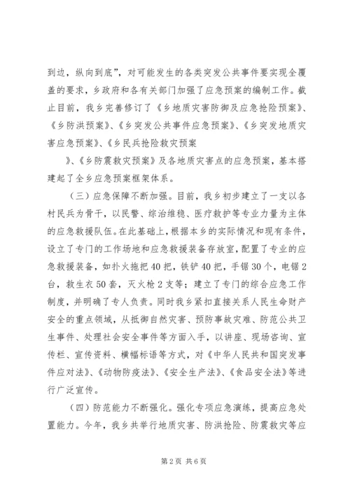 乡镇年度应急管理自查工作自查总结.docx
