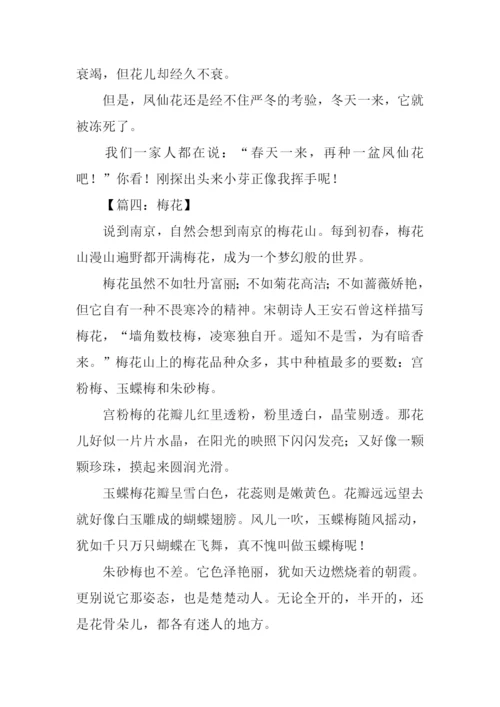 关于花的作文350字.docx