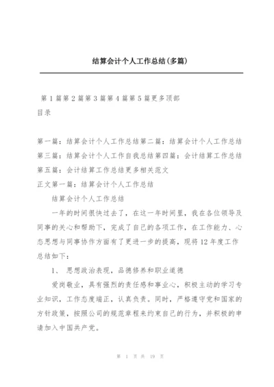 结算会计个人工作总结(多篇).docx