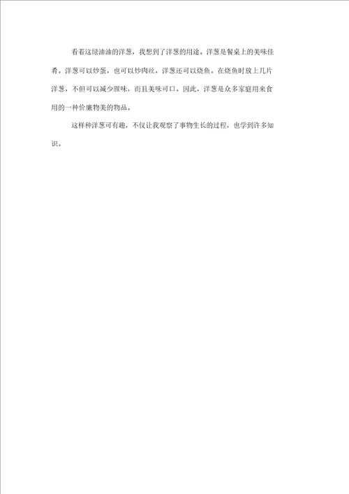 种洋葱初一作文