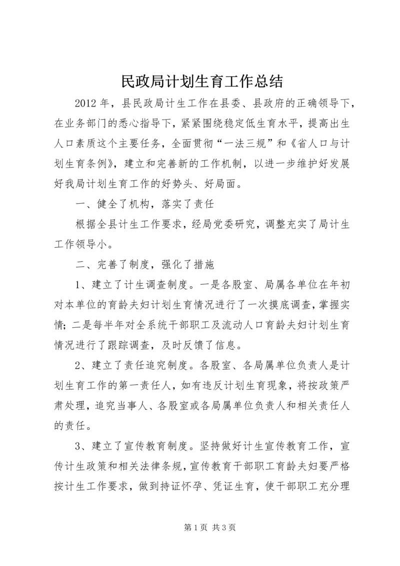 民政局计划生育工作总结.docx