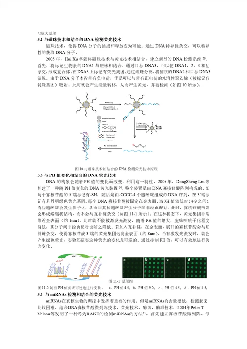 计算中的荧光技术应用及发展