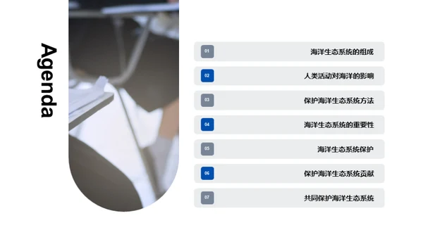 海洋生态系统的保护与可持续发展