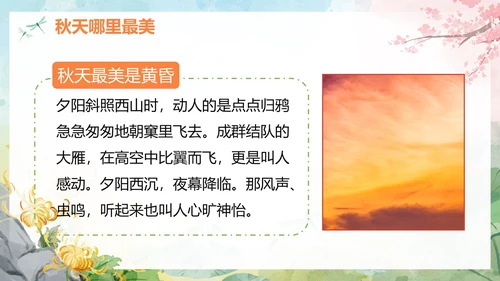 部编版语文五年级上册四季之美课件PPT模板