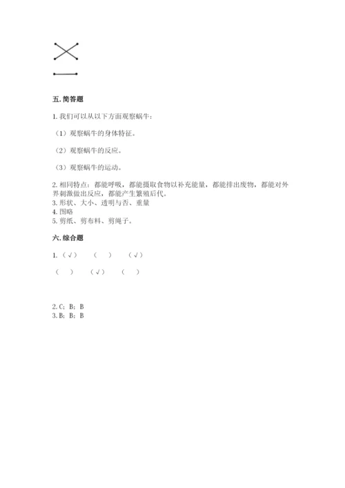 教科版一年级下册科学期末测试卷【b卷】.docx