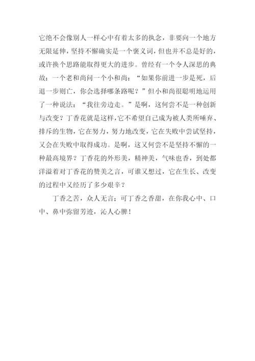丁香花作文-20.docx