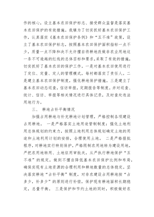 耕地保护责任目标自查报告.docx