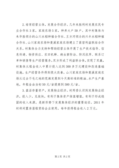 发展集体经济发展汇报材料(定) (2).docx