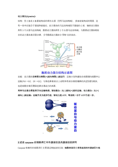 细胞生物学简答题整理(共18页)