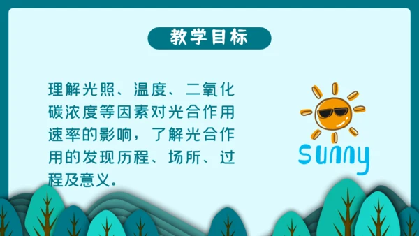 光合作用的原理和应用通用PPT模板