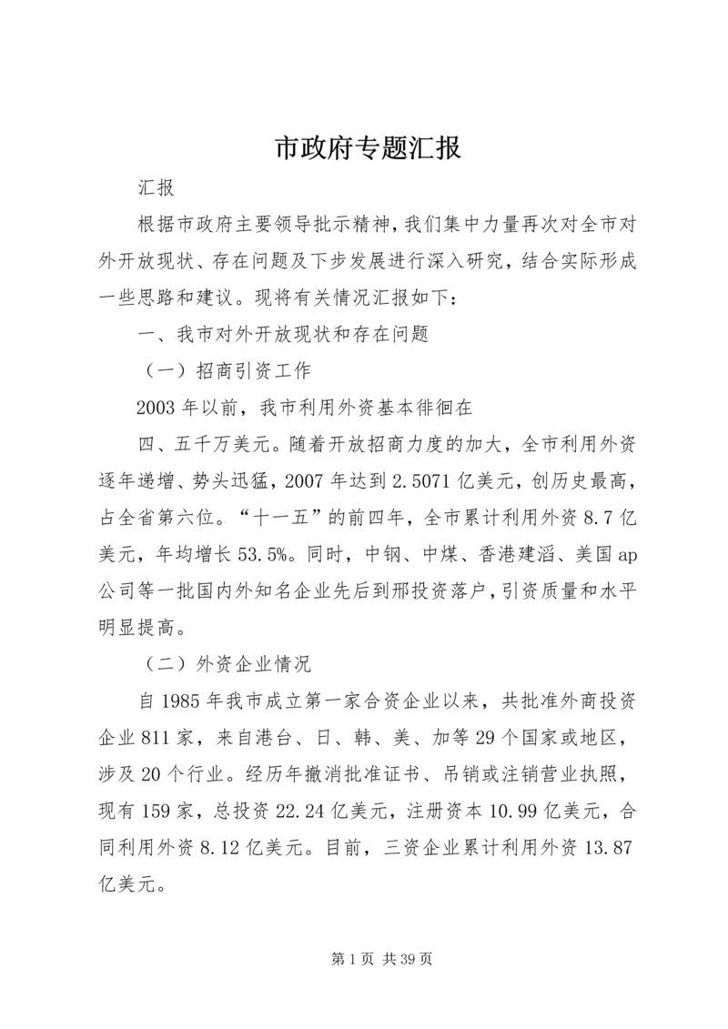 市政府专题汇报.docx