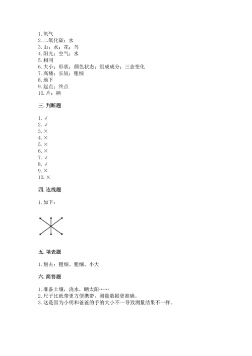 教科版小学一年级上册科学期末测试卷【b卷】.docx