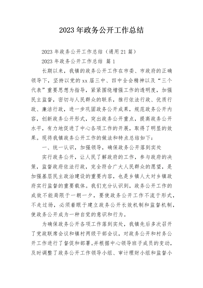 2023年政务公开工作总结.docx