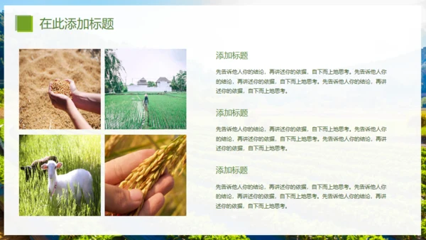 乡村振兴精准扶贫，特色农业项目计划书通用PPT模板