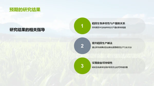 稻田生态与产量提升