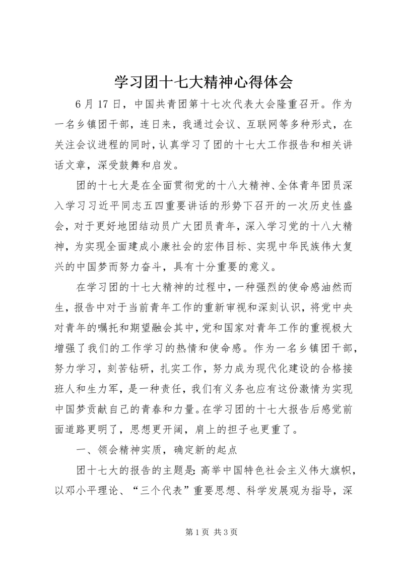 学习团十七大精神心得体会.docx