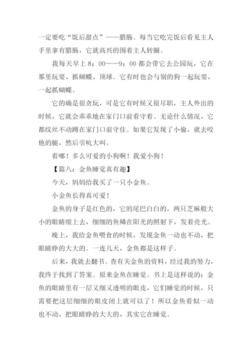 关于小动物的作文200字.docx