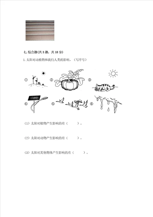 教科版二年级上册科学期末测试卷能力提升word版