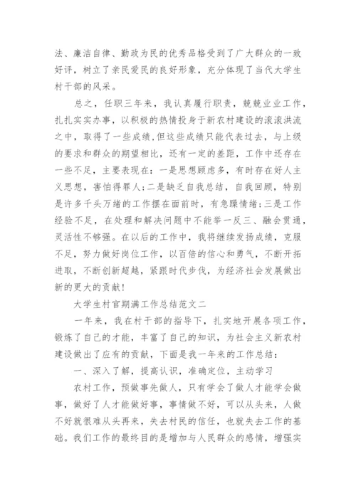 大学生村官期满工作总结.docx