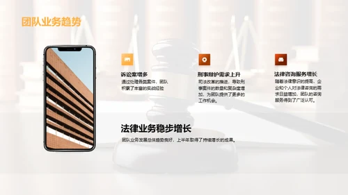 团队半年律业回顾与展望