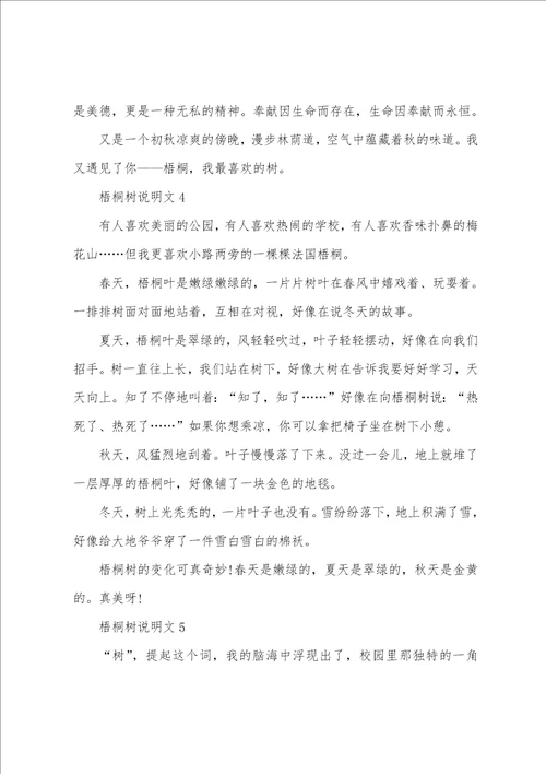 梧桐树说明文范文600字