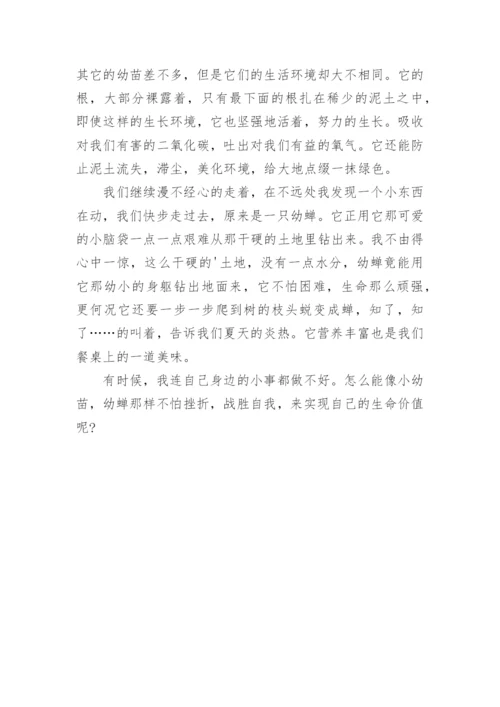 人生的价值议论文作文精编.docx