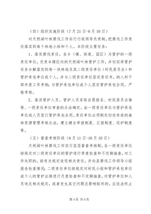 阔叶林禁伐工作方案.docx