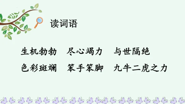 22小毛虫  课件