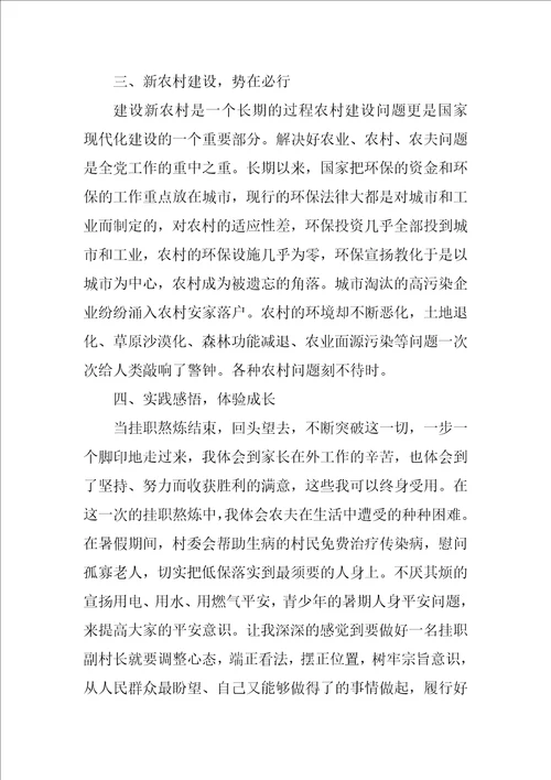 农村个人挂职工作总结优秀9篇