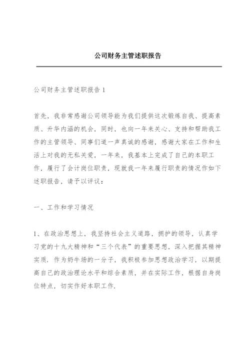 公司财务主管述职报告.docx