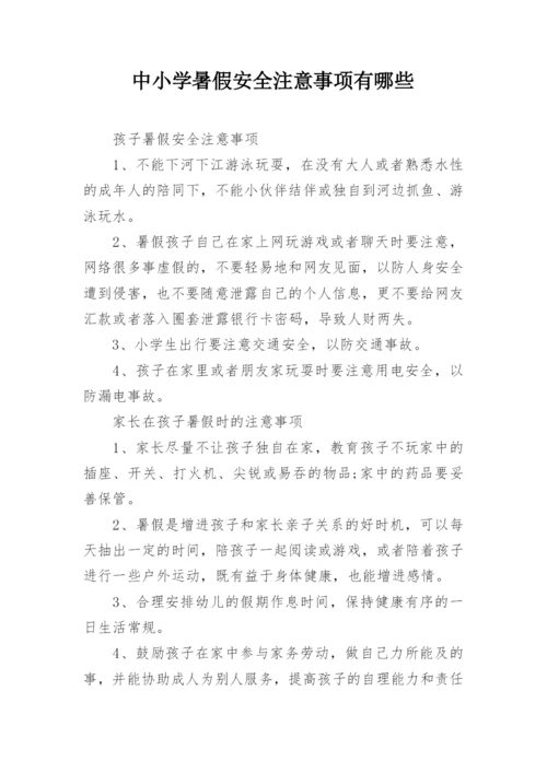 中小学暑假安全注意事项有哪些.docx