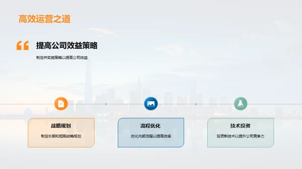 公司年度回顾与展望