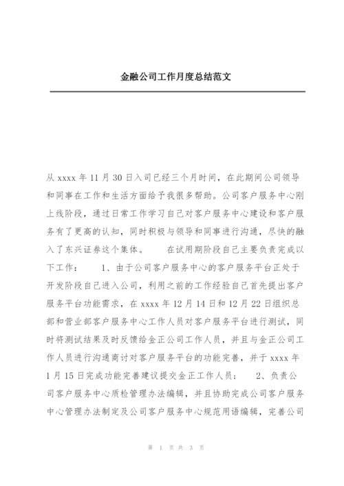 金融公司工作月度总结范文.docx