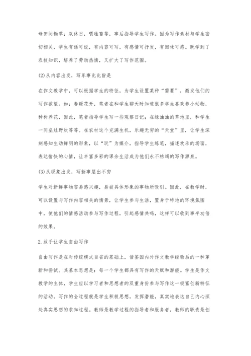 作文教学的现状及其策略.docx